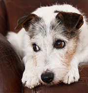 Vorsorgeuntersuchung